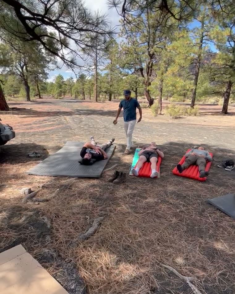 People lying on mats in a pine forest during a breath session